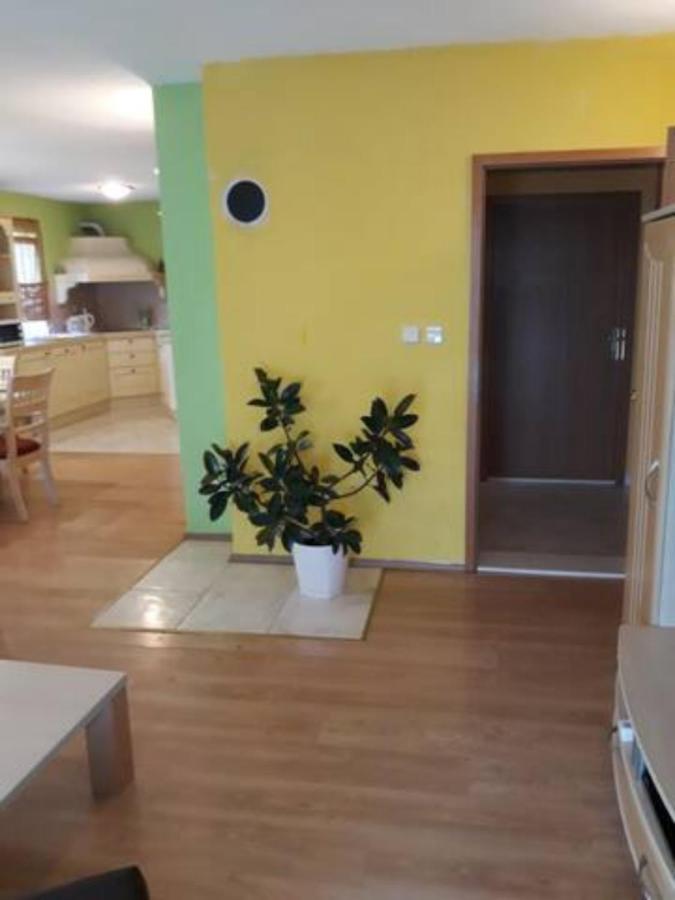 Apartments Hajdi ポドストラナ エクステリア 写真